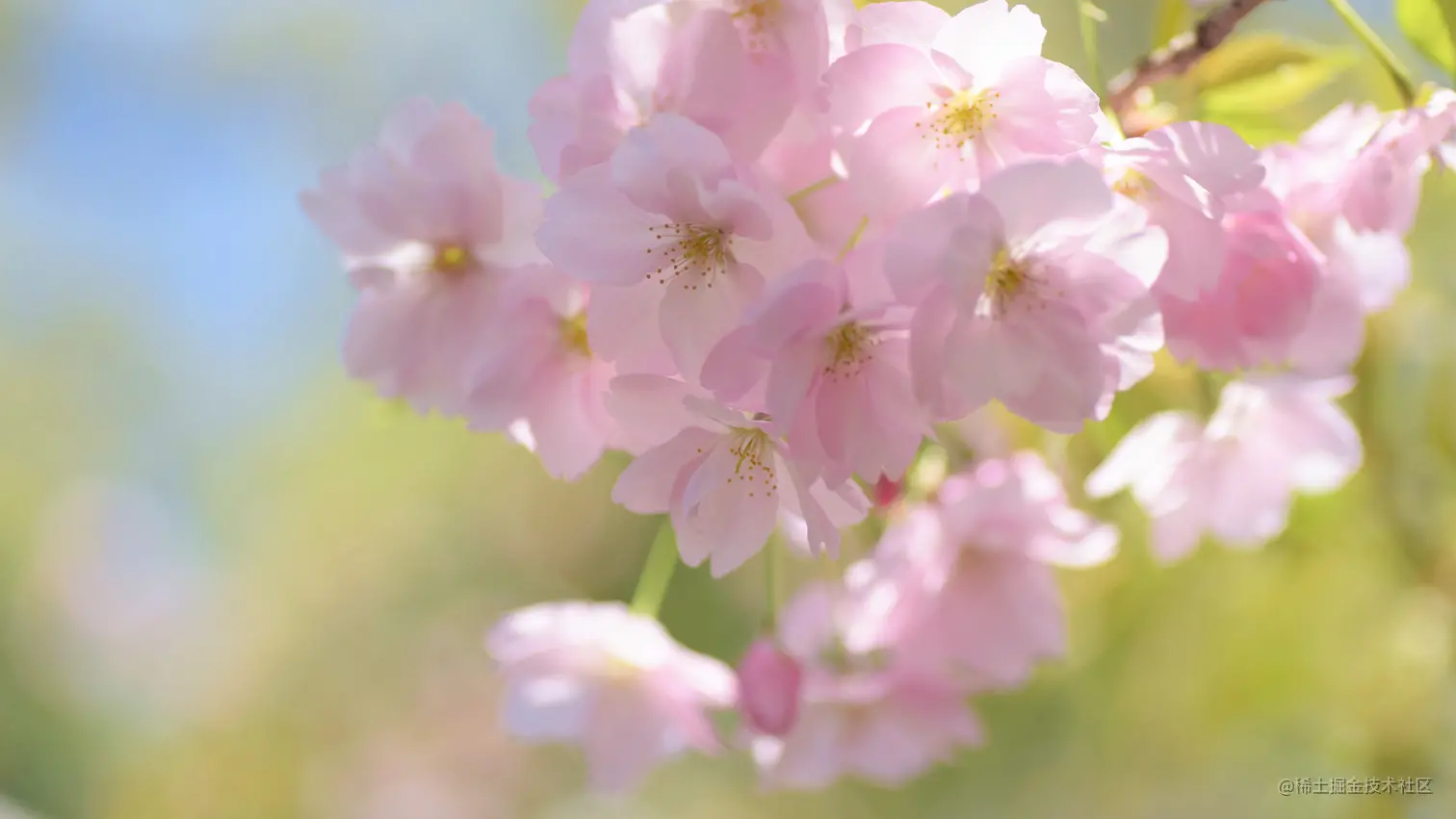使用Rollup构建npm库