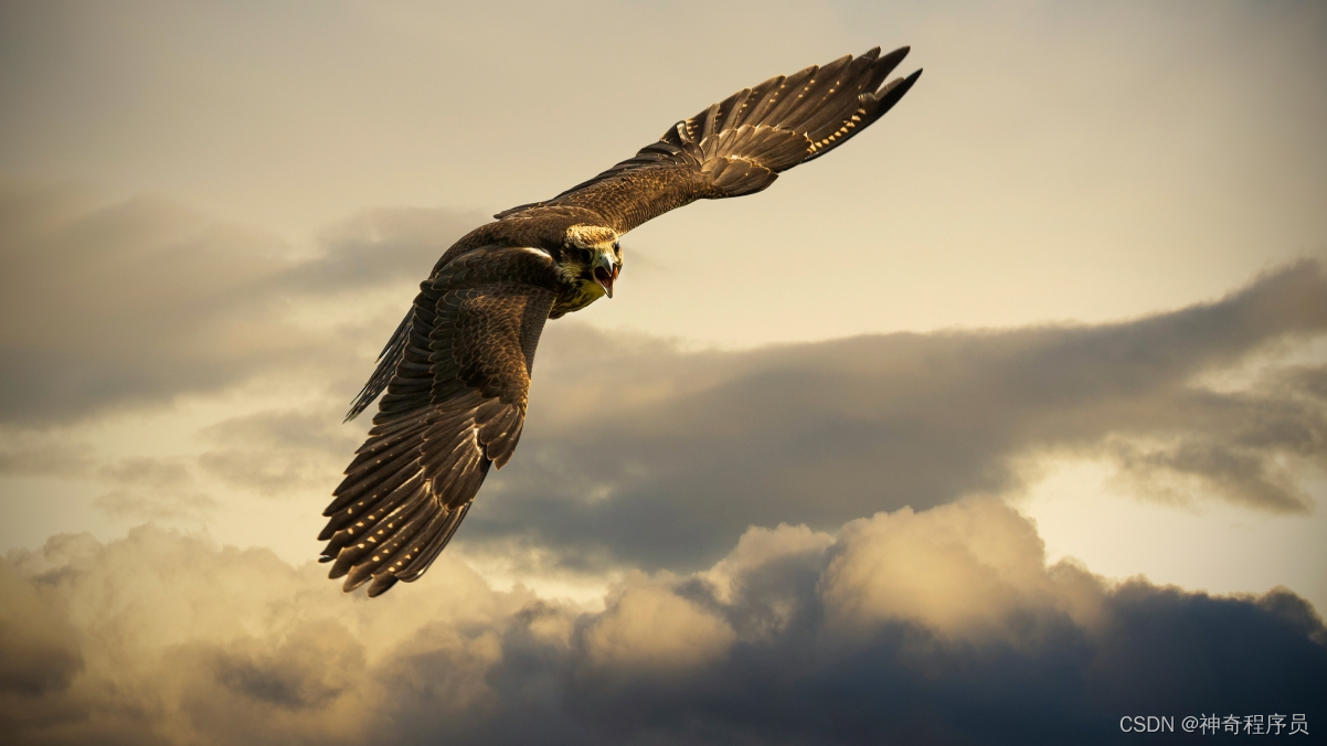 实现八大排序与搜索算法