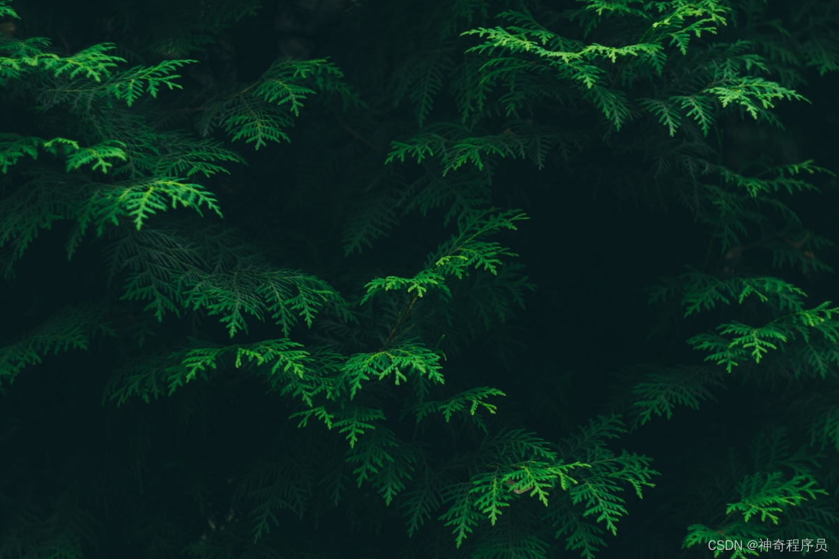 深入理解作用域和闭包