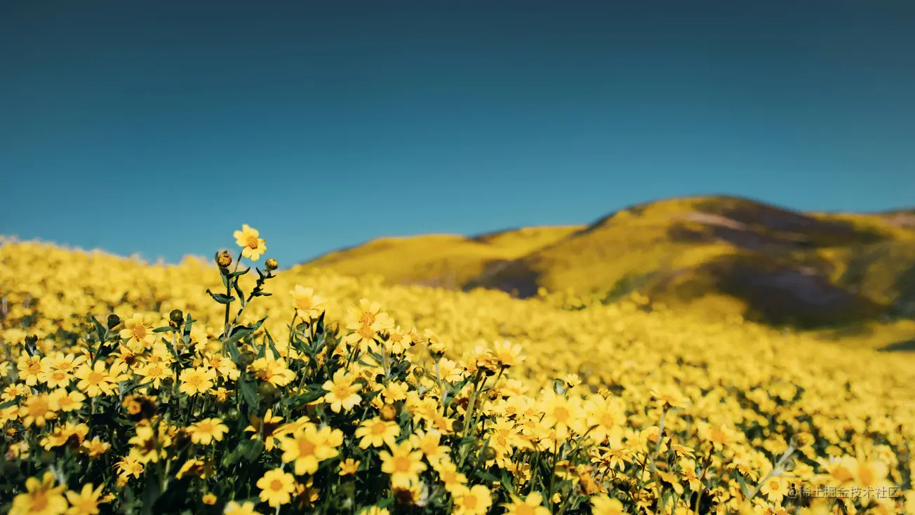 axios发起http请求的一些细节