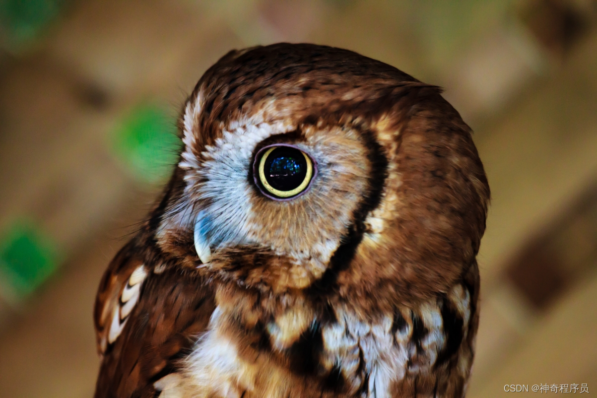 使用commitizen实现按团队规范提交代码