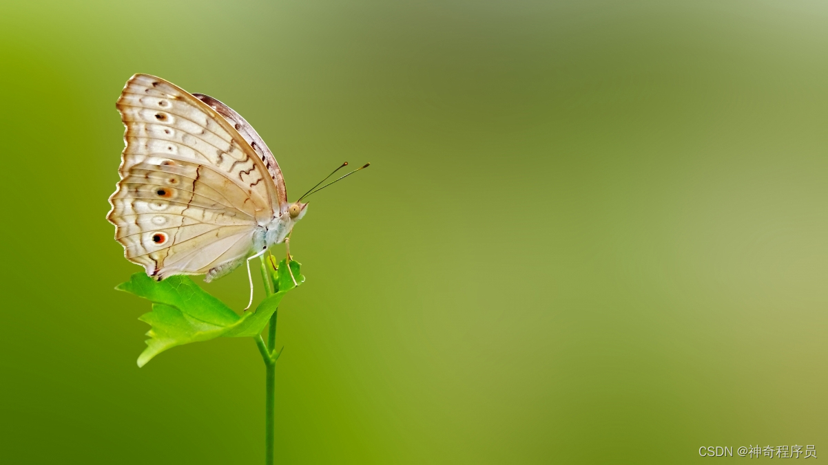 VSCode合理配置ESLint+Prettier