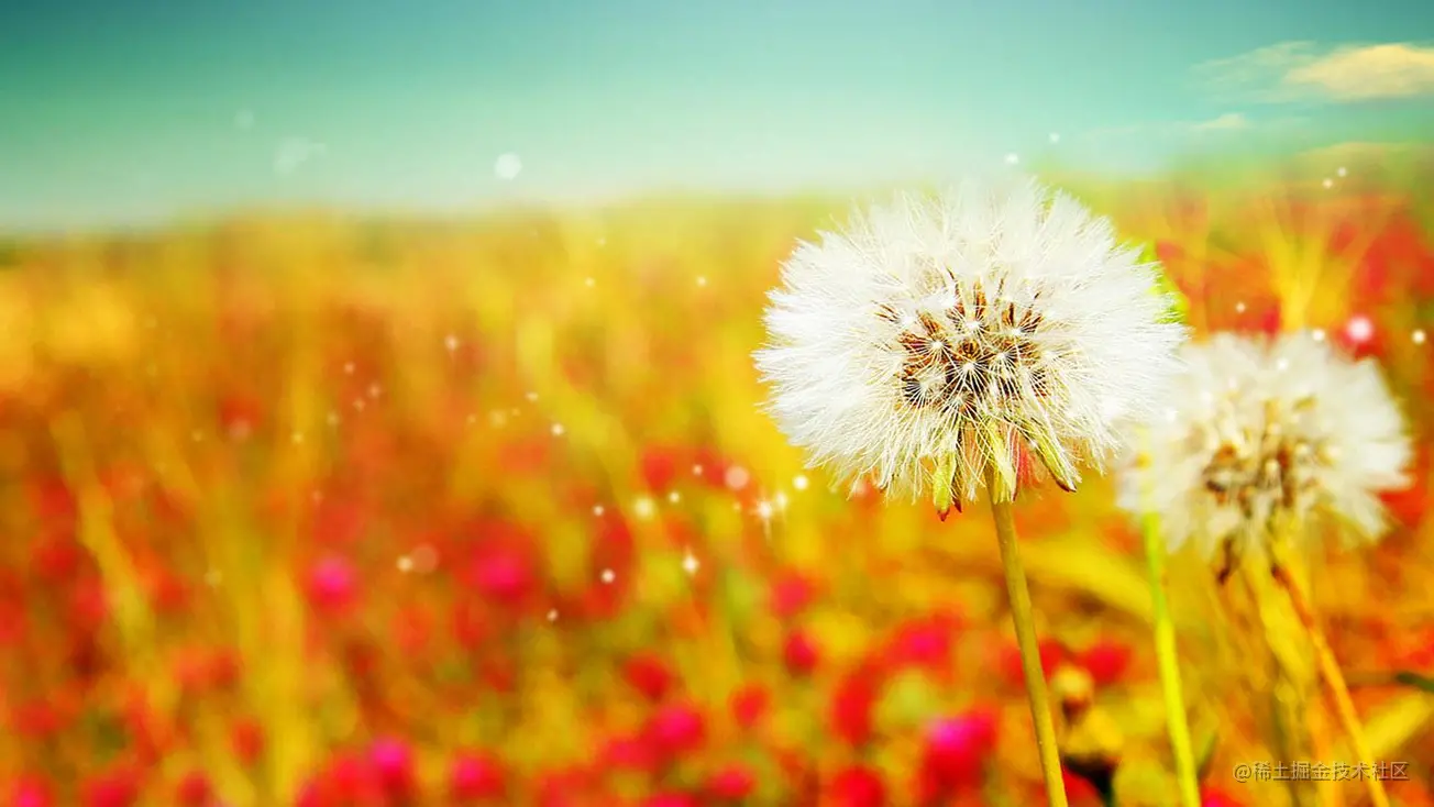 从面试者到前端开发组组长的成长之路