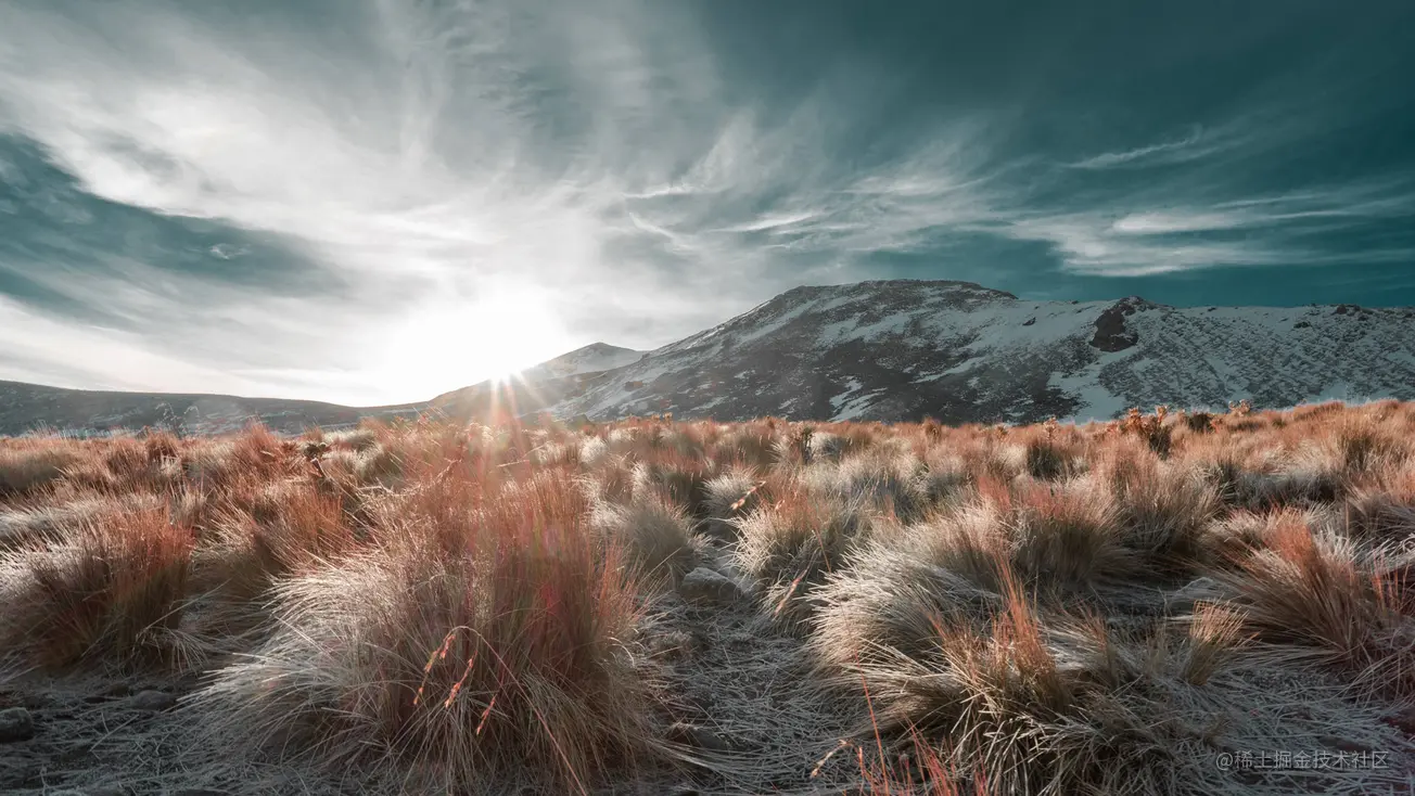 数据结构:数组的基础知识