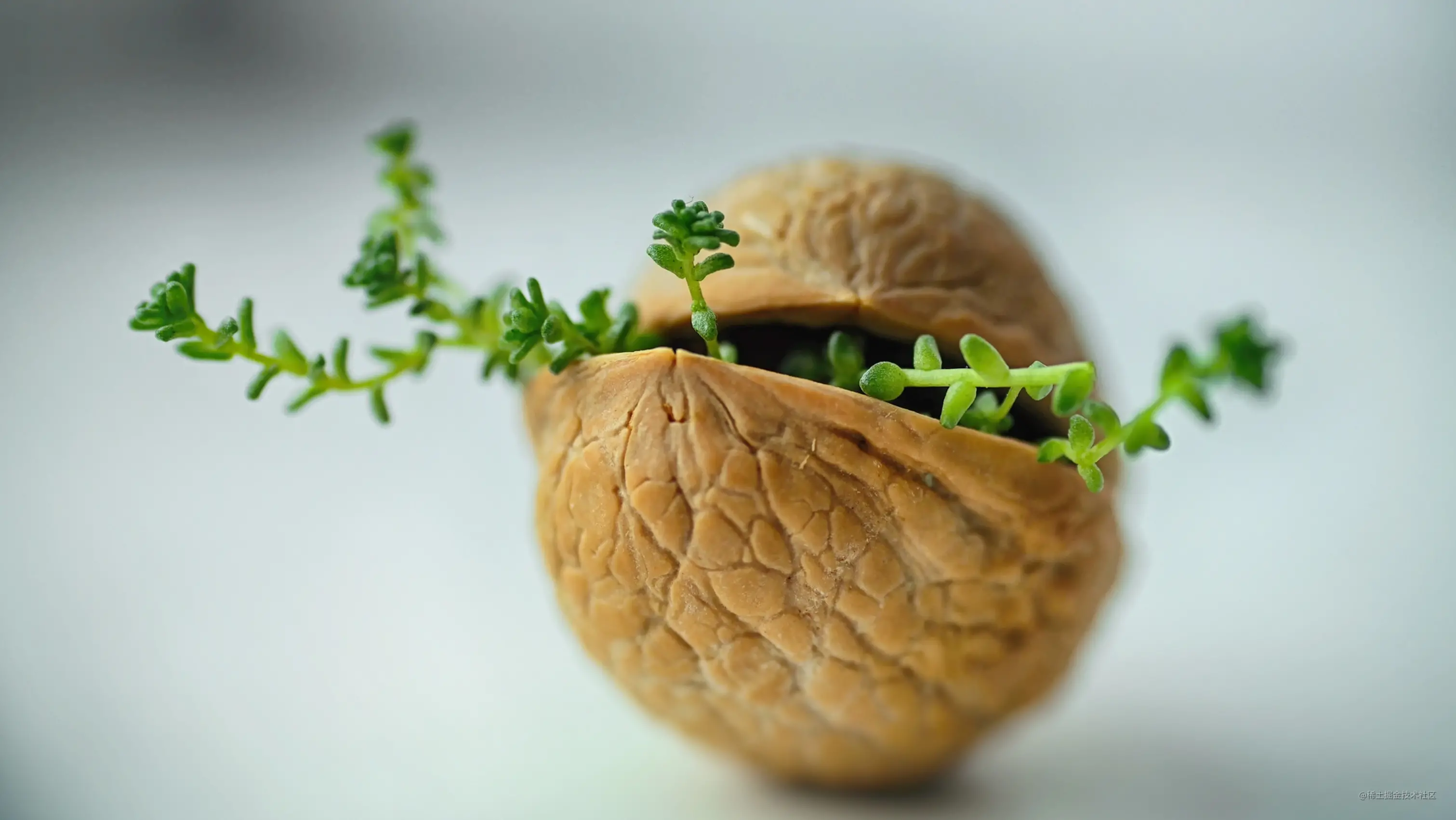 栈的压入与弹出序列校验