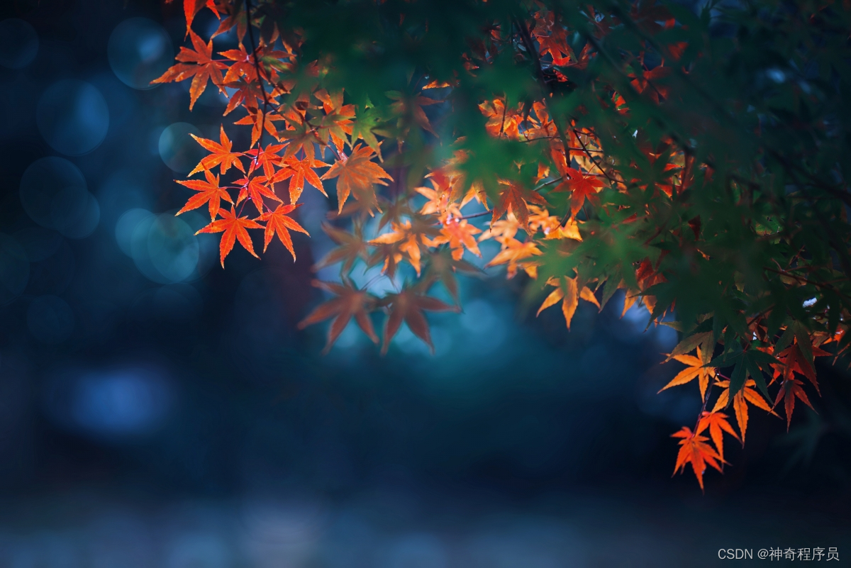 实现Web端指纹登录